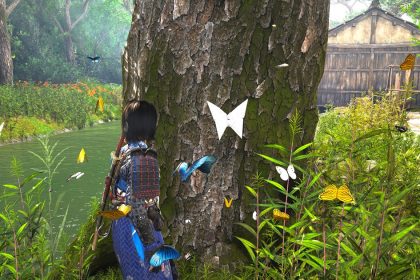 Shadow of the Assassin's Creed: Butterfly Place