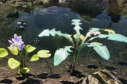 Remaster of Forgetting: The Location of Nirnroot