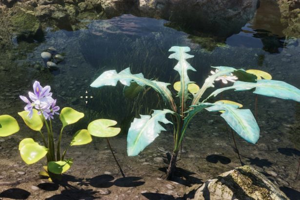 Remaster of Forgetting: The Location of Nirnroot